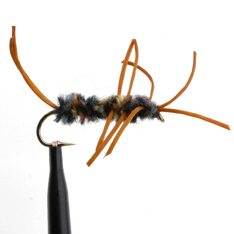 Girdle Bug Brown/Black