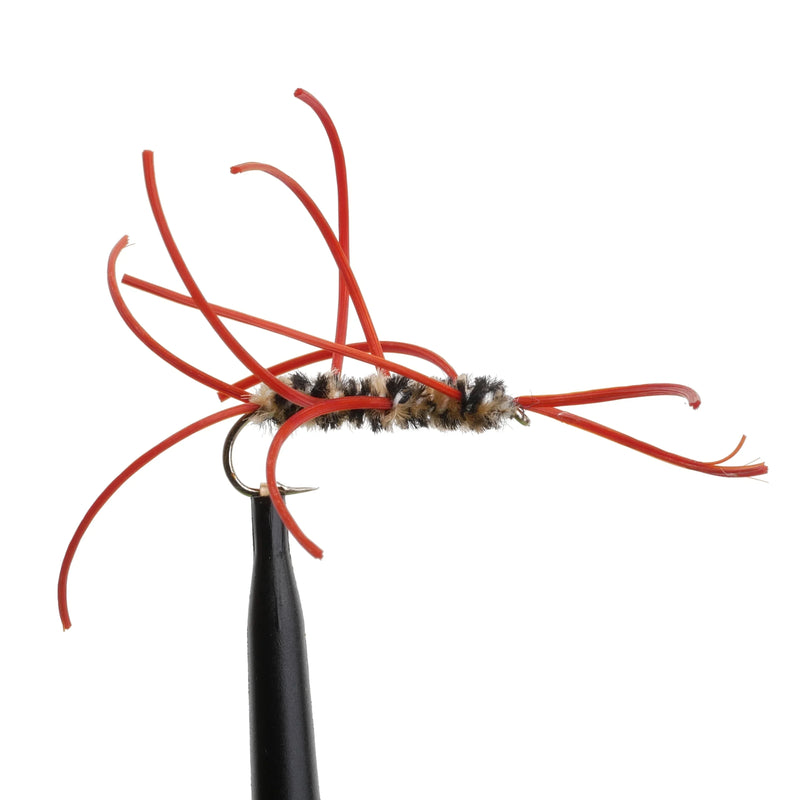 Girdle Bug Coffee/Red