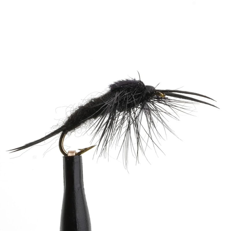 Little Black Stonefly Natural