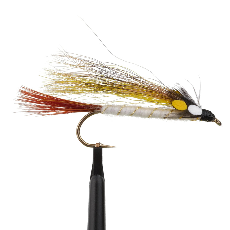 Little Brown Trout Natural