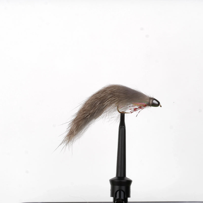 Mini Scullpzilla Squirrel