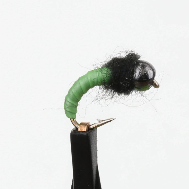 Tungsten Caddis Pupa