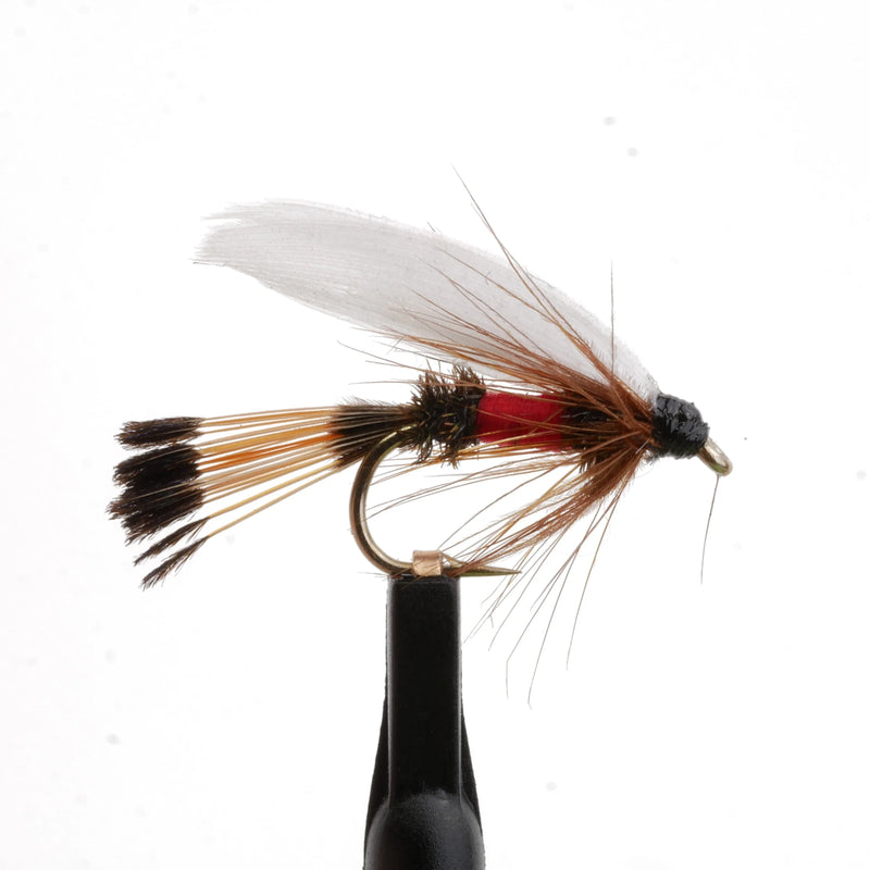 Royal Coachman Wet Fly