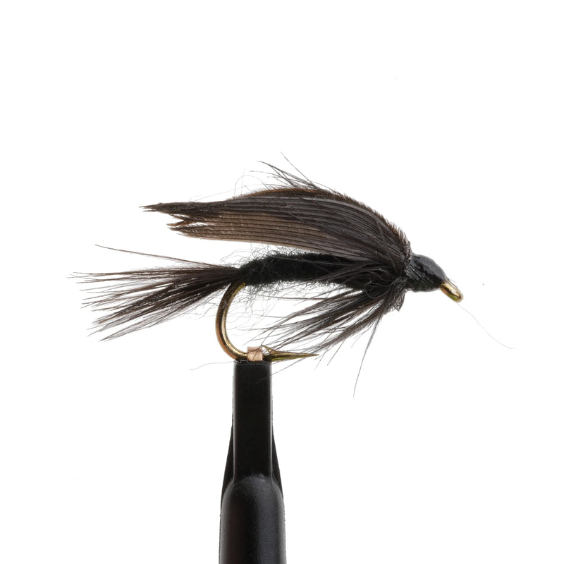 Black Gnat Wet Fly