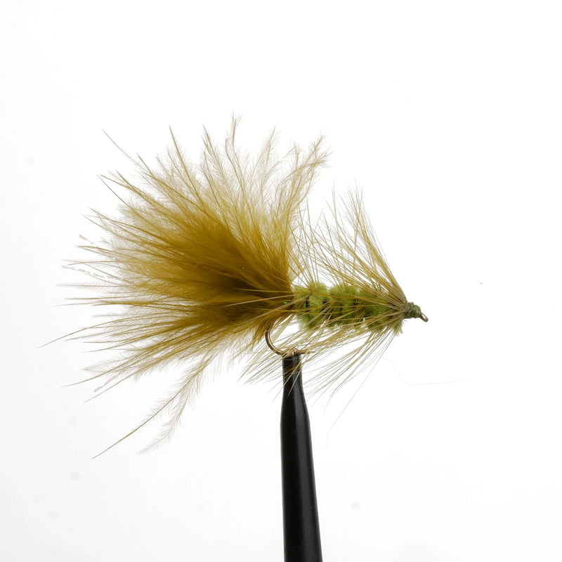 Woolly Bugger Olive