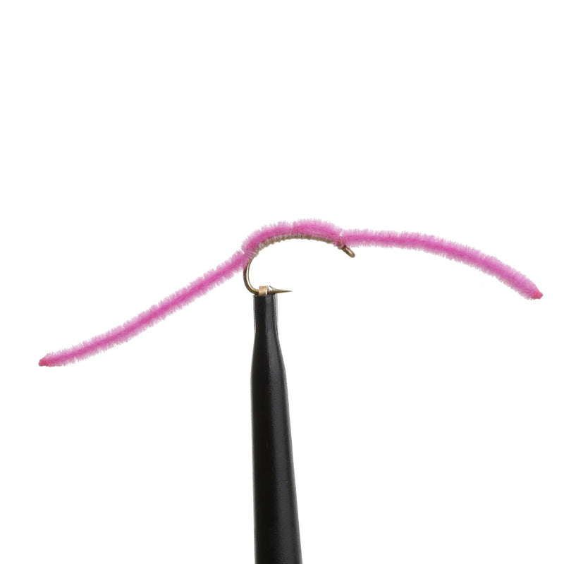 San Juan Worm Pink
