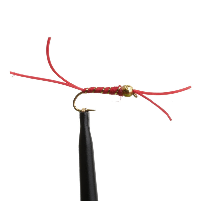 BeadHead Bloodworm Natural